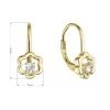 Pozlátené strieborné náušnice kvietky so zirkónom 11504.1 crystal