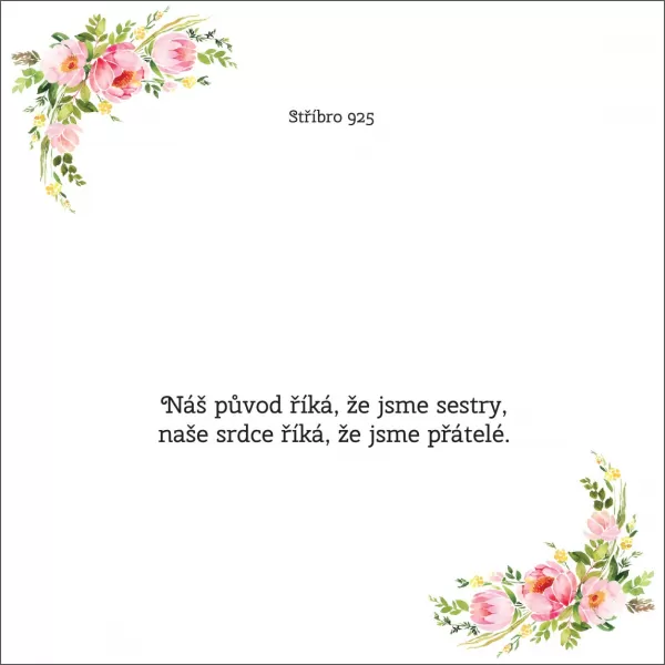 Náš pôvod hovorí, že sme sestry, naše srdce hovorí, že sme priatelia - OB11
