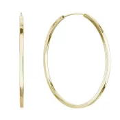 Pozlátené strieborné náušnice kruhy 61009