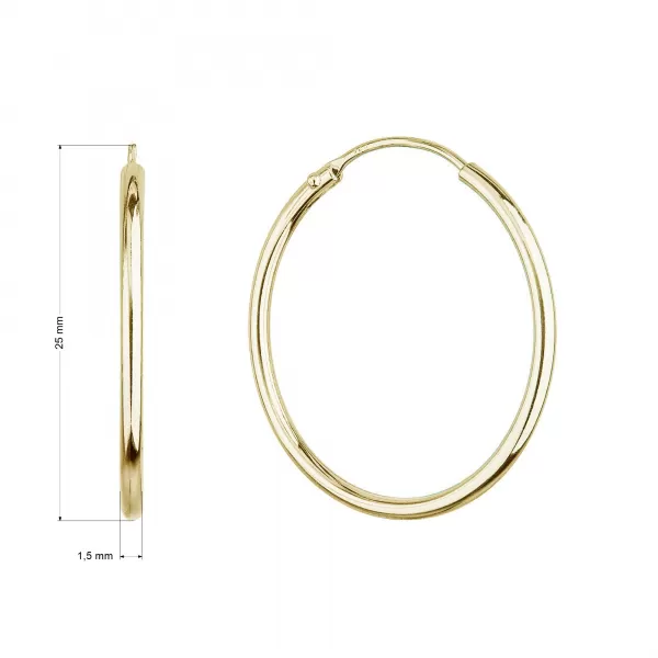 Pozlátené strieborné náušnice kruhy 61003