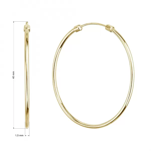 Pozlátené strieborné náušnice kruhy 61008