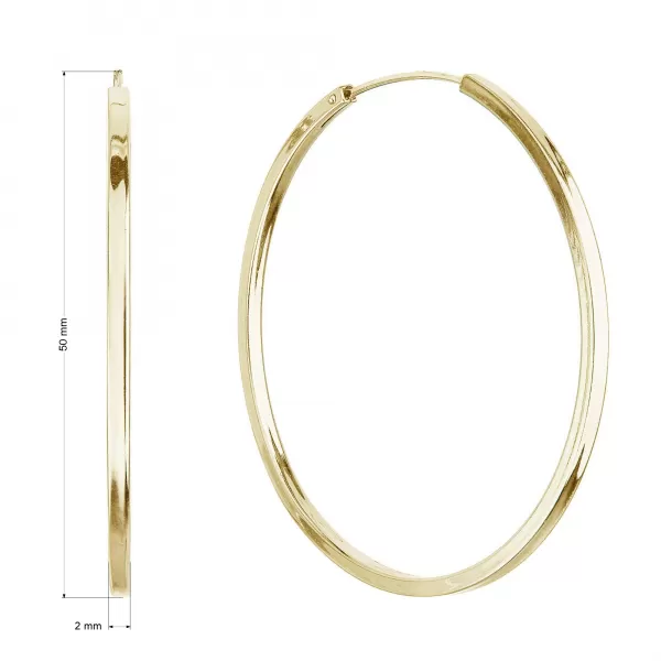 Pozlátené strieborné náušnice kruhy 61009