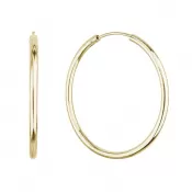 Pozlátené strieborné náušnice kruhy 61005