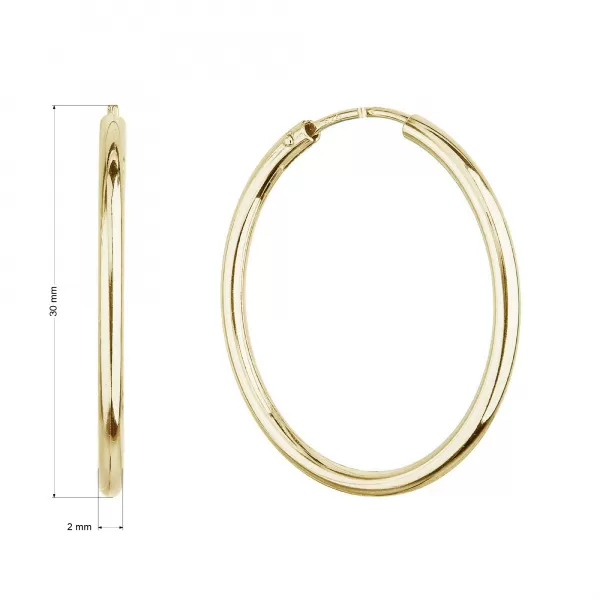 Pozlátené strieborné náušnice kruhy 61004