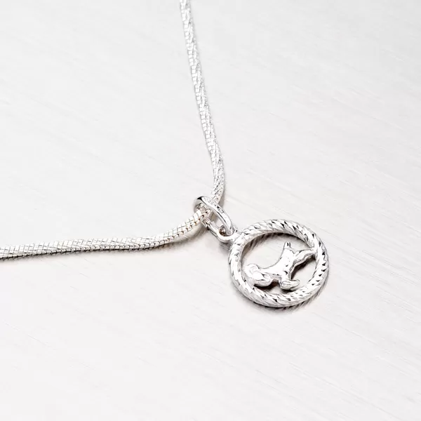 Strieborný prívesok - Baran MPN5017-03