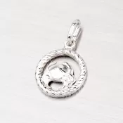 Strieborný prívesok - Rak MPN5017-06