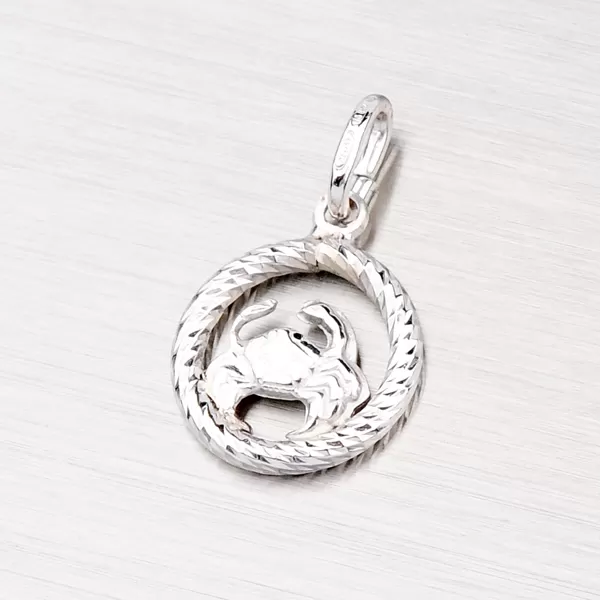 Strieborný prívesok - Rak MPN5017-06