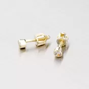 Zlaté náušnice - kôstky so zirkónom 42-3299