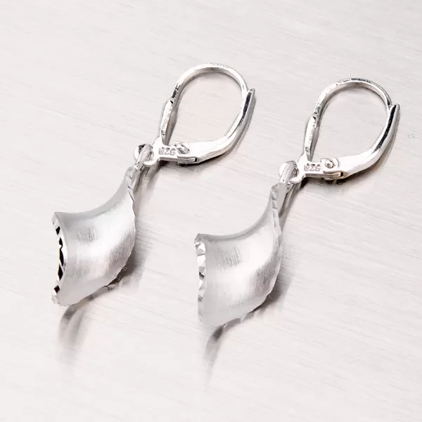 Strieborné visiace náušnice EK-002-OKS