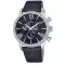 Festina Dream 16590/A