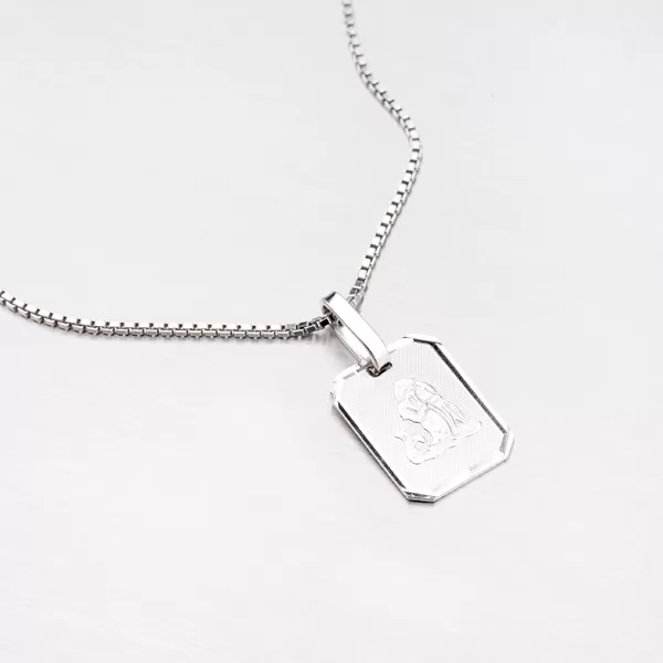 Prívesok zo striebra - Vodnár M5041-01