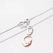 Strieborný náhrdelník s pozlátenou ozdobou N1401581-0331-SLX