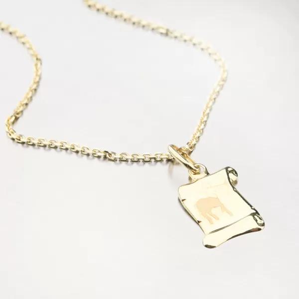 Strelec - zlaté mesačné znamenie 43-2081-11