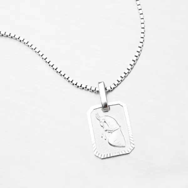 Kozorožec - strieborné mesačné znamenie M5013-12