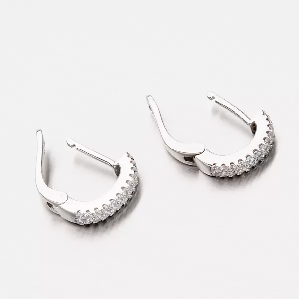 Strieborné náušnice so zirkónmi EZX04140102