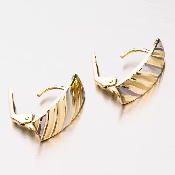 Dámske náušnice 42-31546