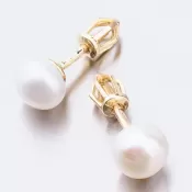 Dámske náušnice žlté zlato 585 perál s bielou 52GZ-8002Z-SR