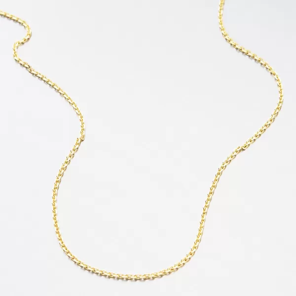 Strieborná pozlátená retiazka Anker CHRS-19-040-D/C-AU