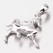 Strieborný prívesok PKL-3065