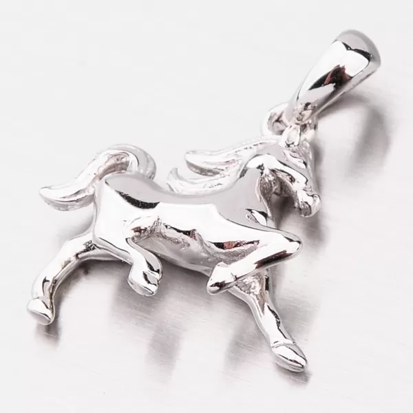 Strieborný prívesok PKL-3065