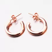 Masívne pozlátené kruhy E1400030-1234-SLX