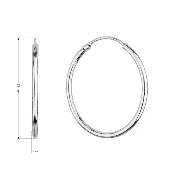 Strieborné náušnice kruhy 61003