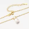 Strieborný pozlátený náhrdelník s perlou SETST-15294RP-G