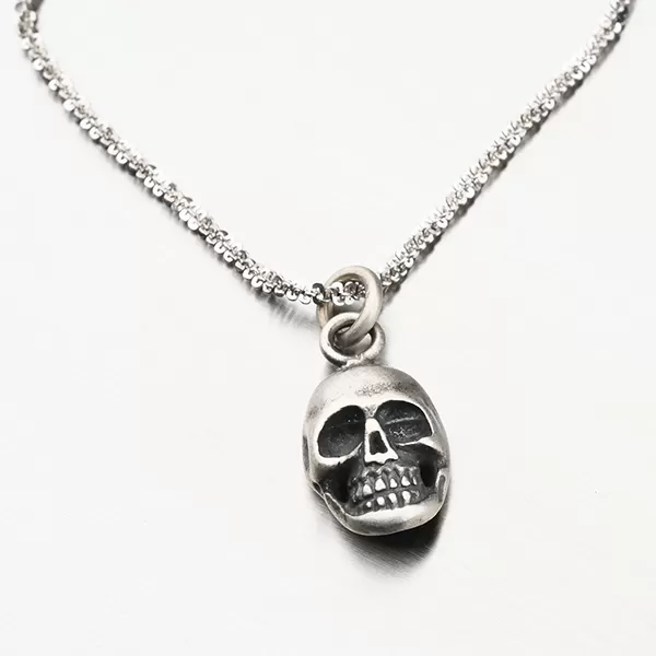 Strieborný prívesok lebka P2001096-0532-SLX