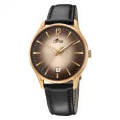 Lotus Revival L18404/2