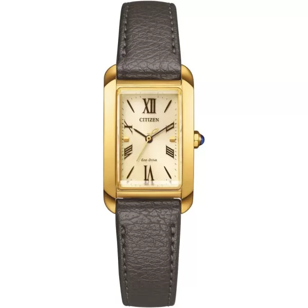 Občianska elegantná ekologická jazda