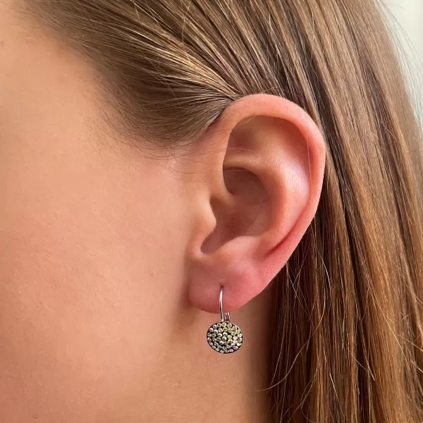 Strieborné náušnice visiace s kryštálmi Swarovski mesačné jemné 31315.3 moonlight