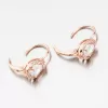 Ružovo pozlátené strieborné náušnice so zirkónmi UCST-122231