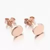 Ružovo pozlátené strieborné náušnice UPST-121956-CV
