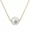 Pozlátený strieborný náhrdelník s pevnou bielou riečnou perlou na retiazke 22047.1