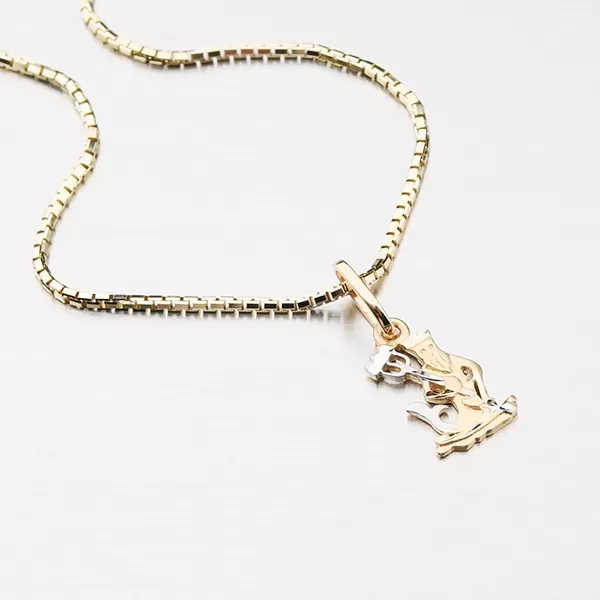 Zlatý prívesok - Vodnár 43-2071-01