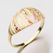 Zlatý prsteň 51P-451