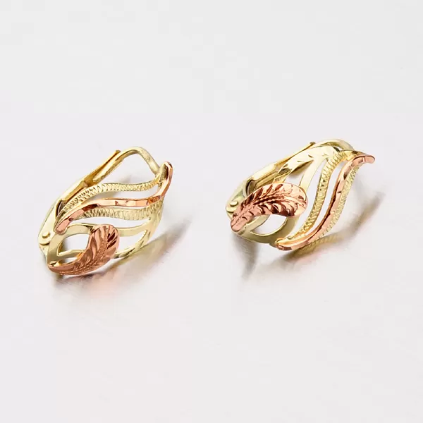 Náušnice zlatého Gravíředé 52nk-157