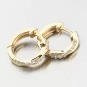 Zlaté náušnice Kruhy so zirkónmi DZF4104-ZL-ZIR