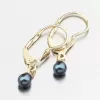 Zlaté náušnice s čiernou perlou 52GZ-3014-ZL-KL-Black