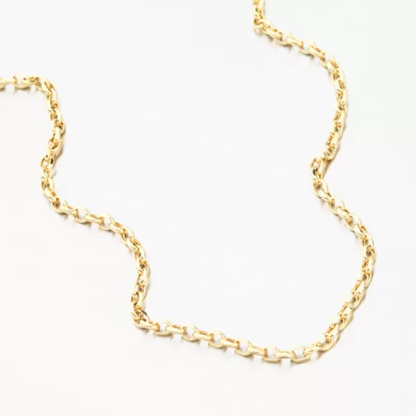 Zlatá retiazka Anker 15R-043