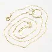 Strieborný pozlátený náhrdelník PKL-5016