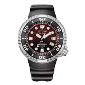 Občiansky promater Marine