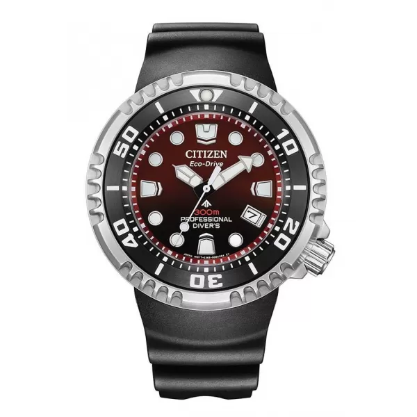 Občiansky promater Marine