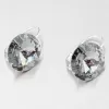 Strieborné náušnice s kryštálom 14 mm N335ČN-JK